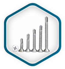 Acero AISI 316 Tornillos