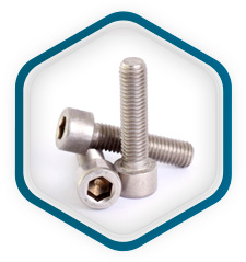 Acero inox 317 Tornillos de cabeza hexagonal