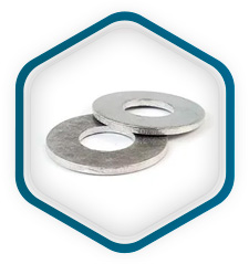 Acero inox 317L Arandelas