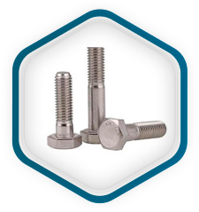 Acero inoxidable 316 Pernos