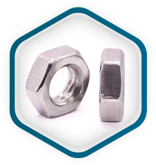 ASTM A193 UNS S31009 Tuercas