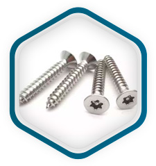 DIN 1.4547 Tornillos