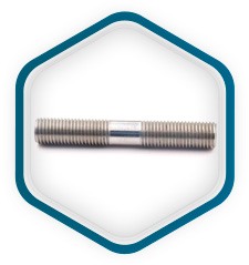 Inoxidable 310 Espárragos