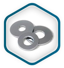 Inoxidable 316L Arandelas