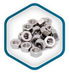 Inoxidable 317L Tuercas hexagonales