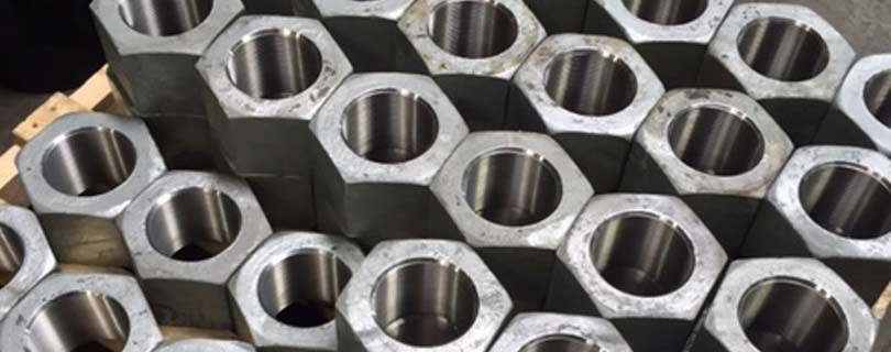 Tuercas Inconel 600