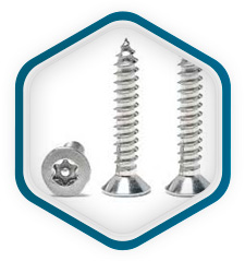 UNS S31603 Tornillos