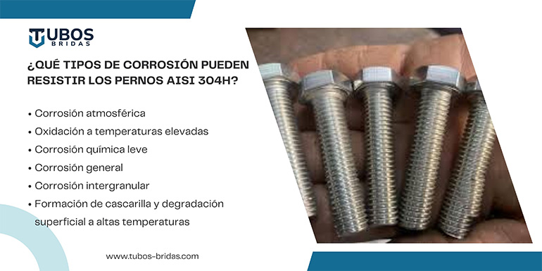¿Qué tipos de corrosión pueden resistir los pernos AISI 304H?