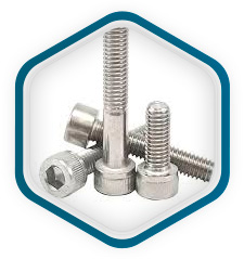 Tornillos de cabeza hexagonal DIN 2.4858