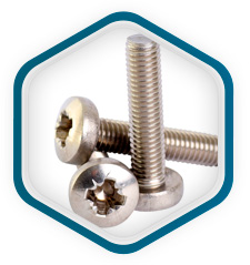 Tornillos para metal Hastelloy C276